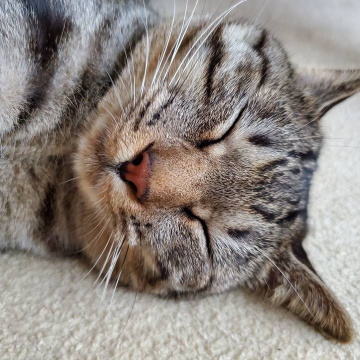 4a1122d8 04c1 42ce 9446 acf5d155b42e 1702646063116