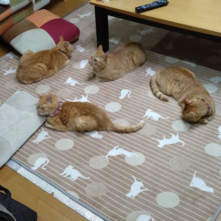 4a1148c8 e959 46d2 94db e706ee02d1b1 1706769355782