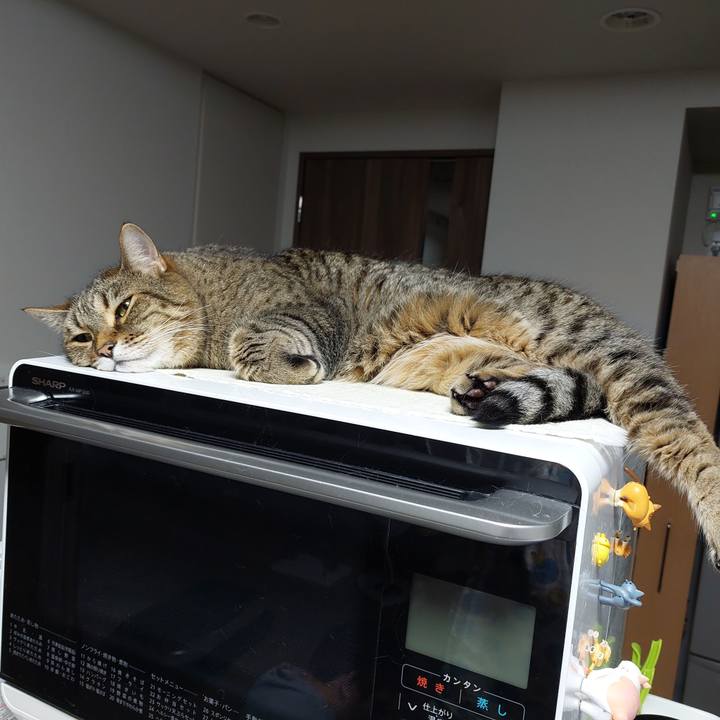 4a114dec 7384 4971 a31e 48568a89cc5a 1624886945780