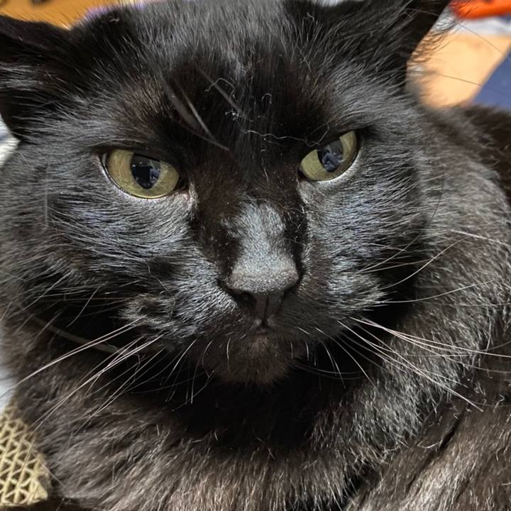 4a115585 3acb 4f81 a31f 2115e418606f 1615310848996