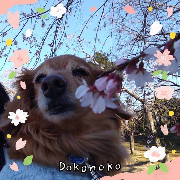 4a116350 bf9b 4590 8194 b0c6775198f7 1711528017875