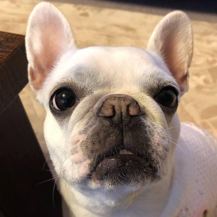 4a1171a5 20d6 47bb b812 ea1577fbe13a 1553323448743