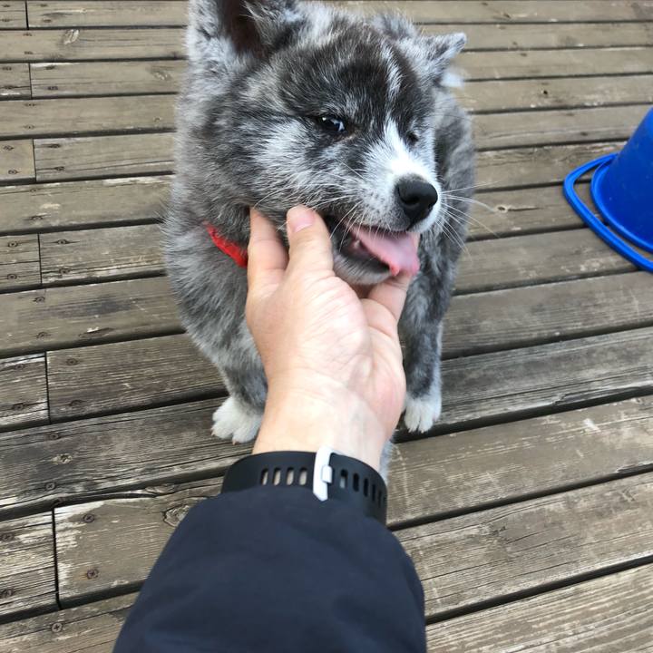 4a118450 26a4 4df3 b0bd af6c1f174287 1553723801412