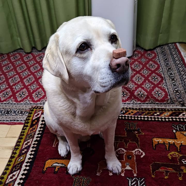 4a11afe6 218e 44e7 aa15 171a4636faf7 1744799630024