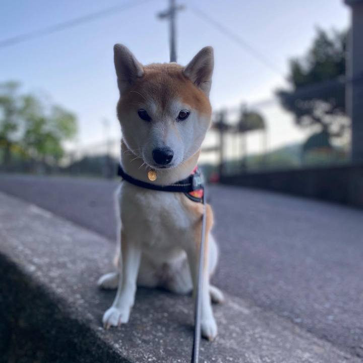 4a11c74d c211 497c ba4d a1f603e04420 1630502725487