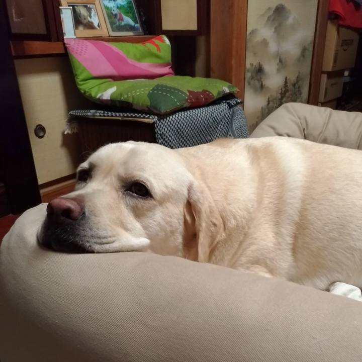 4a1204a6 95db 416e 9ee3 2c3f17d95241 1599622628341