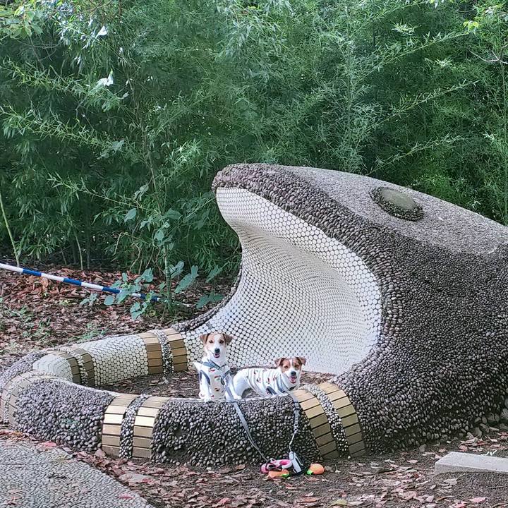 4a121338 2b1b 48d5 92fb bb08ceb7041c 1761554469850