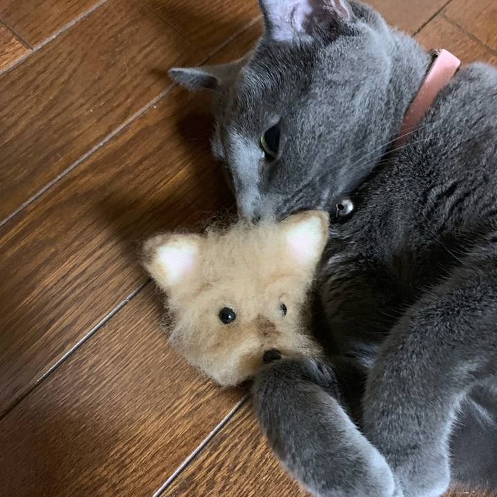 4a122424 1ae2 49bb acbf 24e8593db652 1568040148360