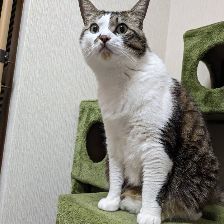 4a1275b8 fbee 4c47 b80f 42b3907329c9 1708306729262