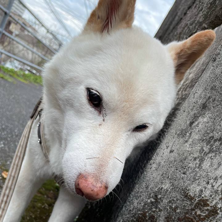 4a128d7c 79cf 4842 9a81 e25233ce3f92 1634634707380