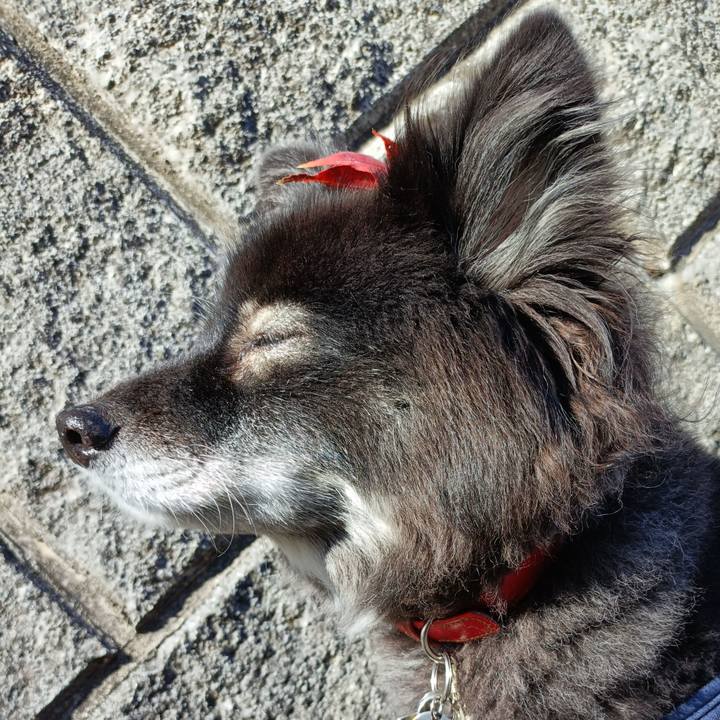 4a129958 2601 4250 a83f 9b501336cfd8 1764401234888