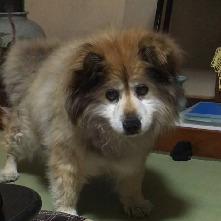 4a12a1fe 3fed 402d 9f57 71929bee33b8 1664441125089