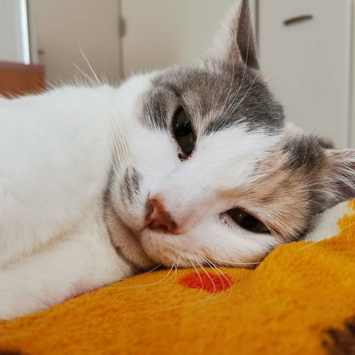 4a12ad1e 7339 4ae7 be40 75e59b618a05 1680061203369