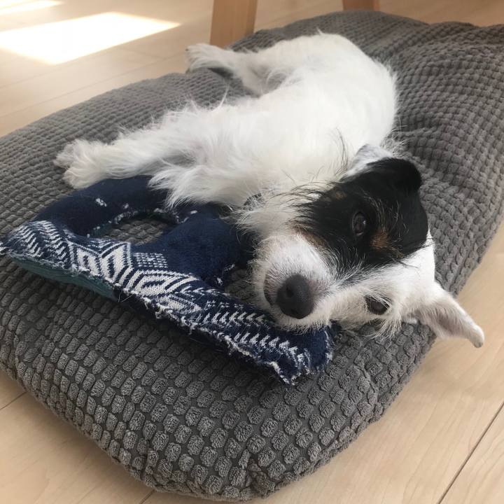 4a12c389 1fc4 4574 95d7 4c3322a43ec9 1537242739202