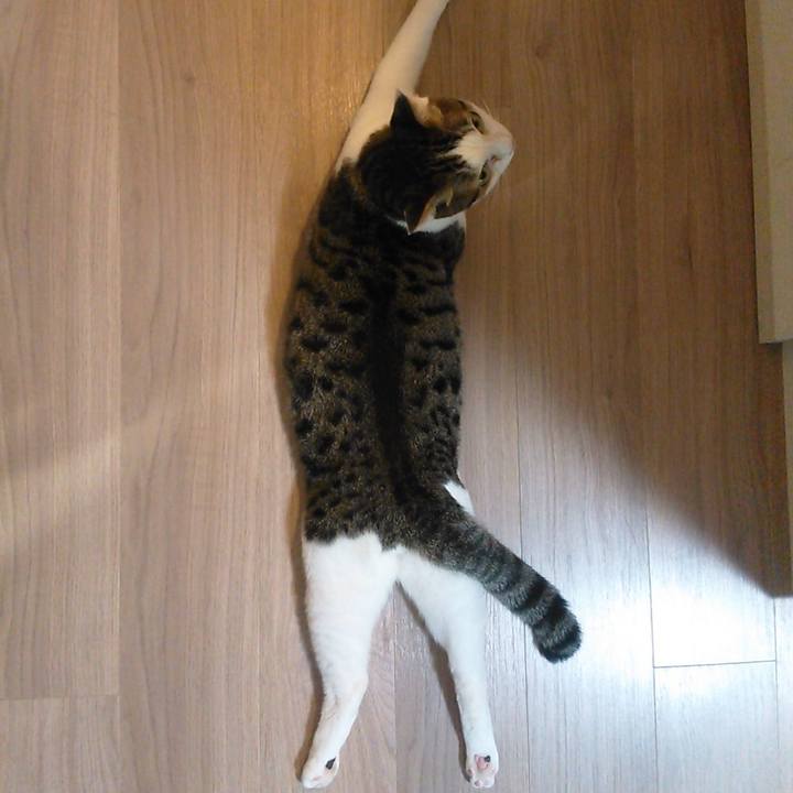 4a12c42c abad 4fc1 b94a 02079fd5010c 1556583957082