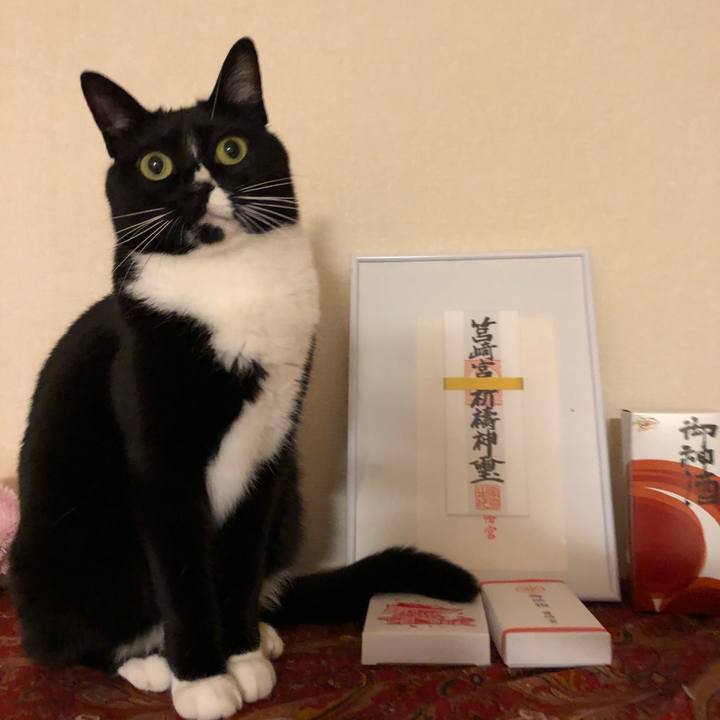 4a12dcd6 052f 4bd4 9d13 963a8713a0e6 1522789735589