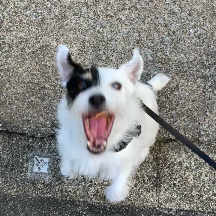 4a12ed25 5a36 46b2 bee2 6eaf89b1b44a 1726786981440