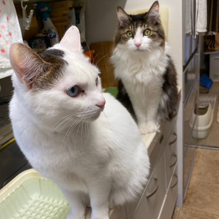 4a130ffa 036c 4886 a44b 4ca39644bb0a 1737595426119