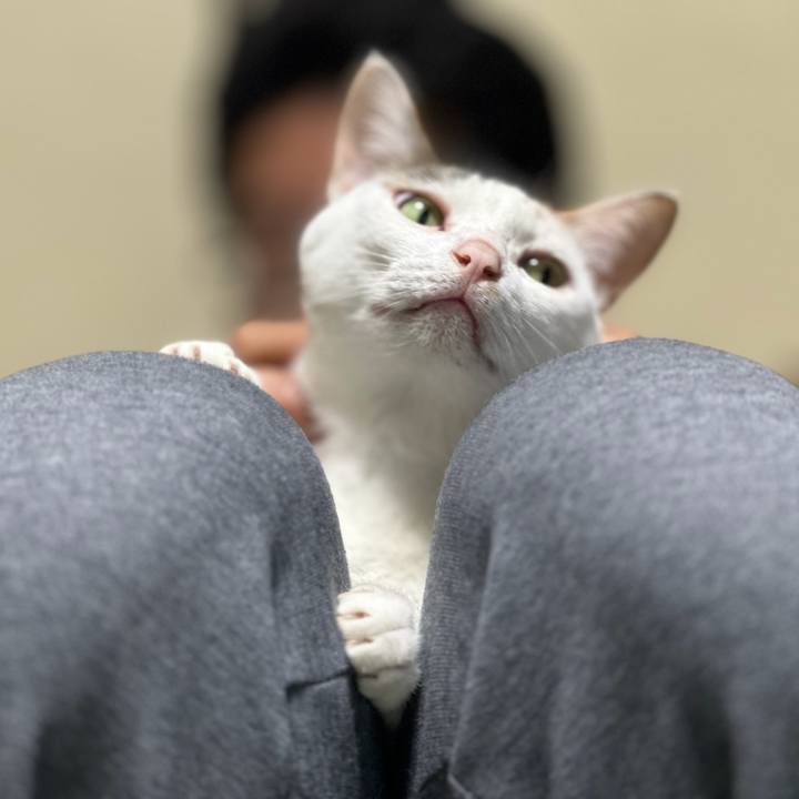 4a13394d 9e9a 4b3b bf0b 248658ee5578 1685024099989