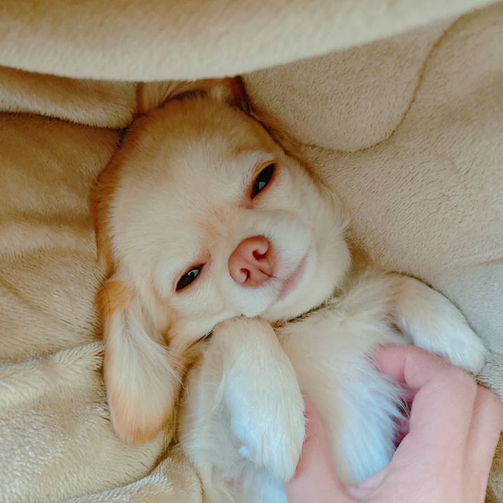 4a134513 ebaf 42b2 bfeb f530879c450e 1645932055880