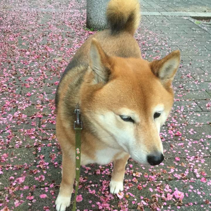 4a135124 16a4 4cb1 9dd2 0b1369c97501 1581912852388