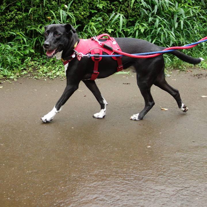 4a136c2f f8bd 43d1 9b17 234123f8ae97 1594164318669