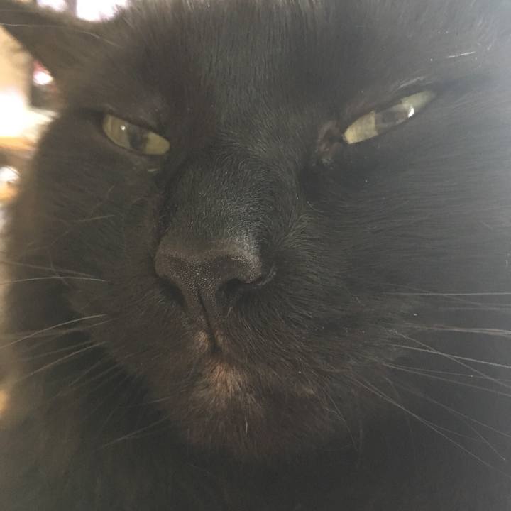 4a136f6d 712d 4149 9874 675e841b5f63 1528852429669