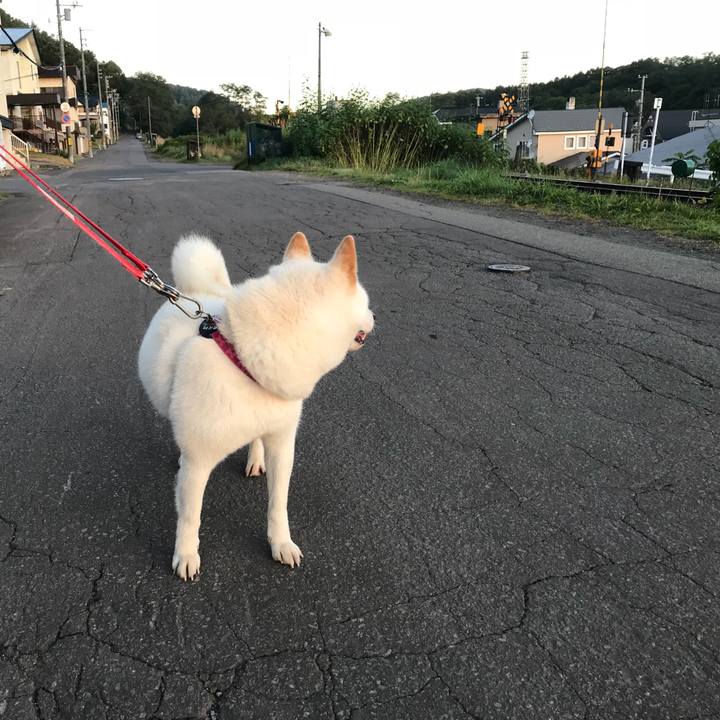 4a138a42 f1fa 4b8d a0d1 0a65df238d0a 1537479288830