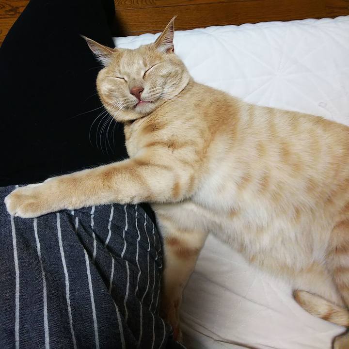 4a13b66a 18d4 43fd a059 7b89efba9df2 1621249999956