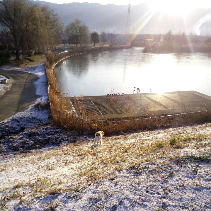 4a13cb86 0857 4c02 8641 dd67eae1dd5b 1517022185492