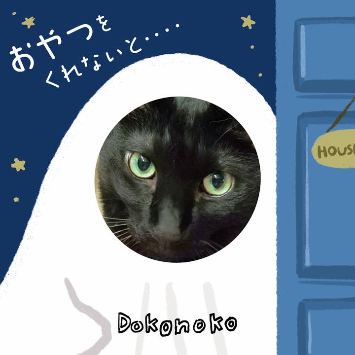 4a13fbb8 cfcc 4771 b994 ff26c42ed500 1729254291609