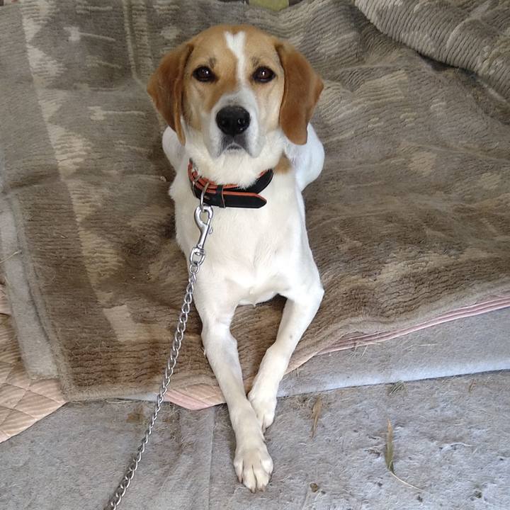 4a13ffe5 2d87 4670 8ef7 05379efead4f 1624246658089