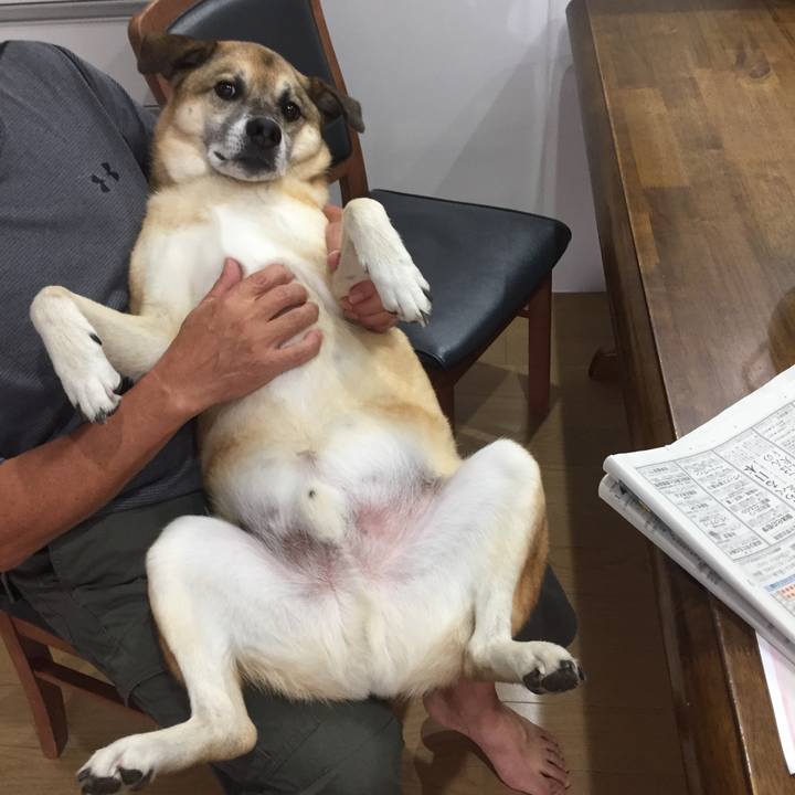 4a140855 1849 4136 9883 11db786891c4 1533599978681