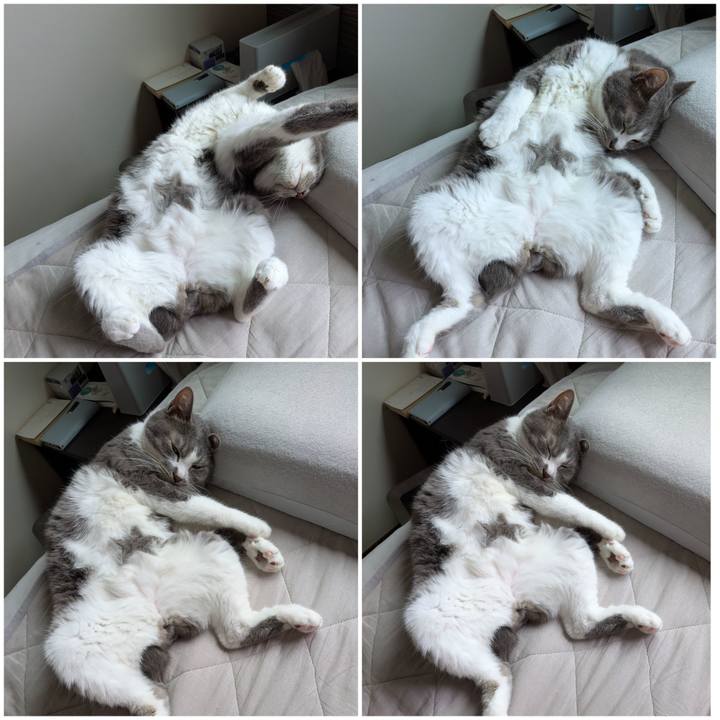 4a14221f 6839 42ed 82d6 1fead45b15ee 1752287426056