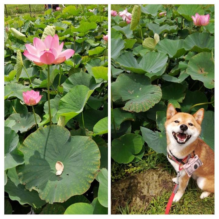 4a148657 f191 4c0c 8c37 e1140c9178bd 1595126226175