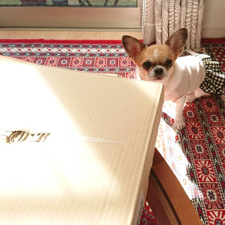 4a148eff 4523 434a 8f0c a657e9125763 1604538347432