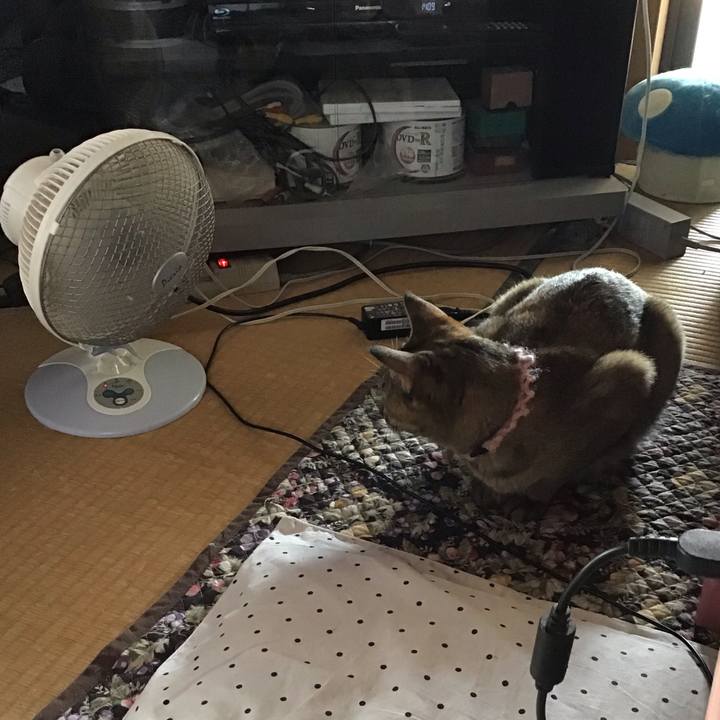 4a14c539 f575 4ae2 94fd 74e6ac3892d6 1591345240814