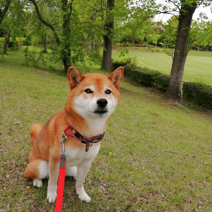 4a14d838 16ca 44f7 be36 a8c344036e7f 1651104627896