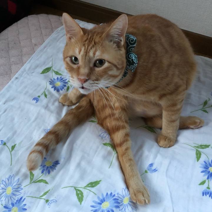 4a15009a e29b 41ab a9ad 1457dfb69071 1559827622495