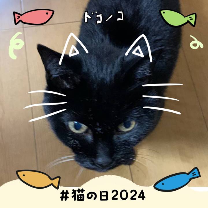 4a155084 06da 472f 8a05 e5bccb10e9a2 1708549882407