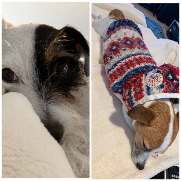 4a157ed8 6101 4383 aa3c dfadca66cf81 1607155479070