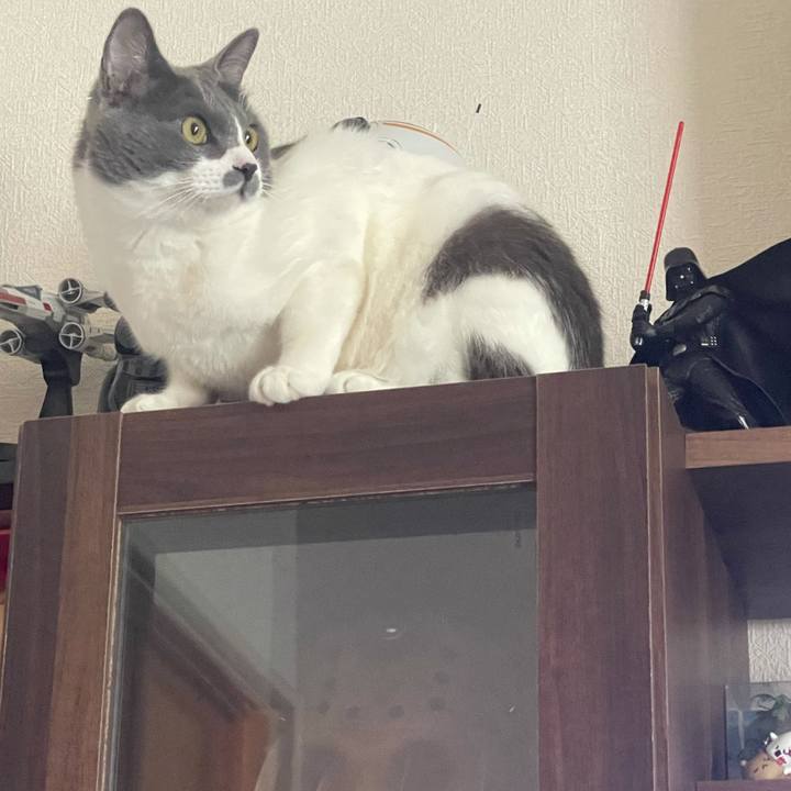 4a1584d7 1e5b 4de0 8cb8 d537067058bc 1625106229213