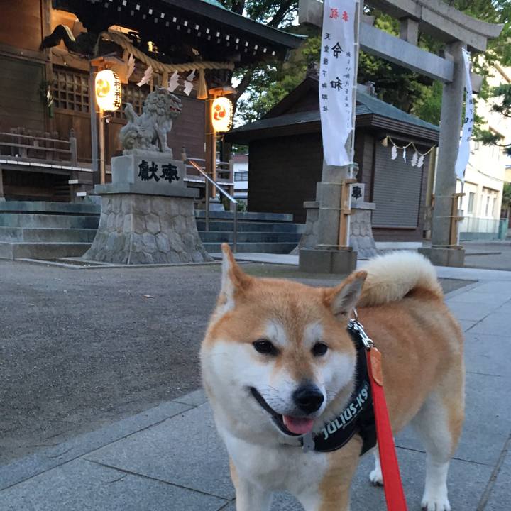 4a158f06 342b 4bd4 bc38 360455482ddb 1557136424487