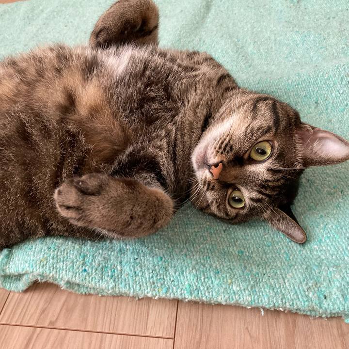 4a15f909 c411 4c61 8445 229f93b88562 1663980539750