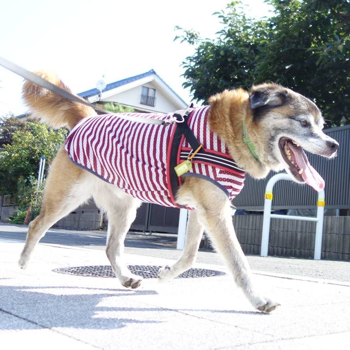 4a164577 5d78 4b8f 9da0 4585733a4733 1566699551163