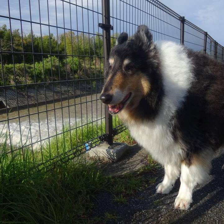 4a164fa5 4517 461a b8c9 d8929885bba6 1587221708867