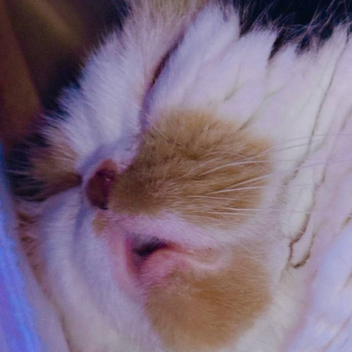 4a16521b be40 49f0 8f45 ec5b8dcab5ba 1736259545664