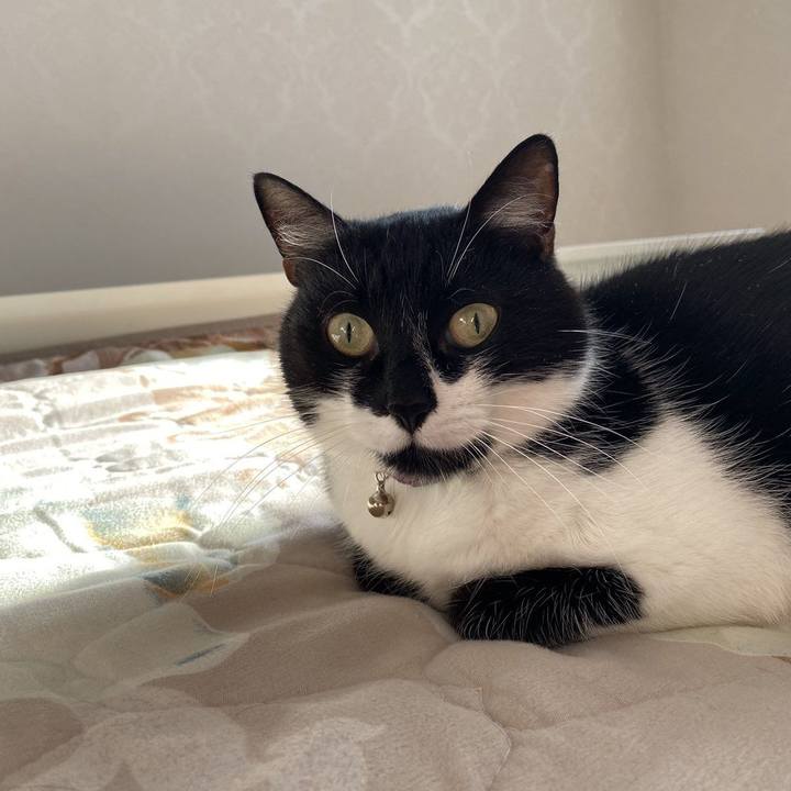 4a1663ee 5206 4d7f b1ab 6adeb51058f5 1582906890190