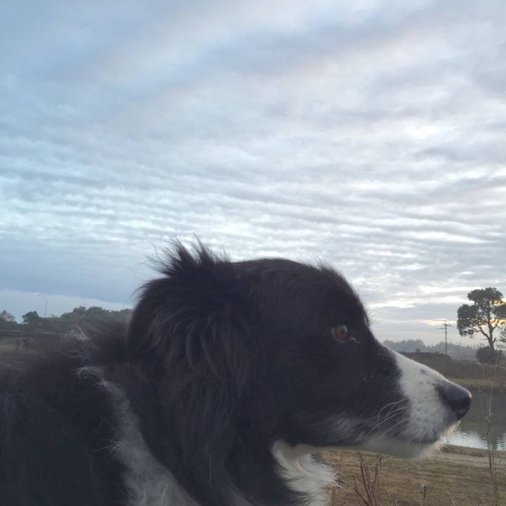 4a167e70 7835 492f affe c098e571653f 1543875722170