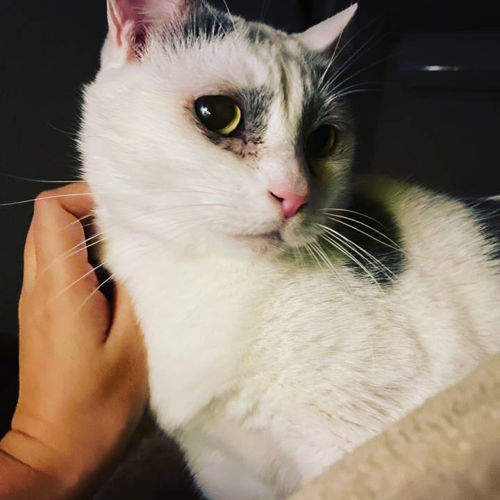 4a16941f 85ec 47f9 b489 fbd13ff229ce 1579010358808